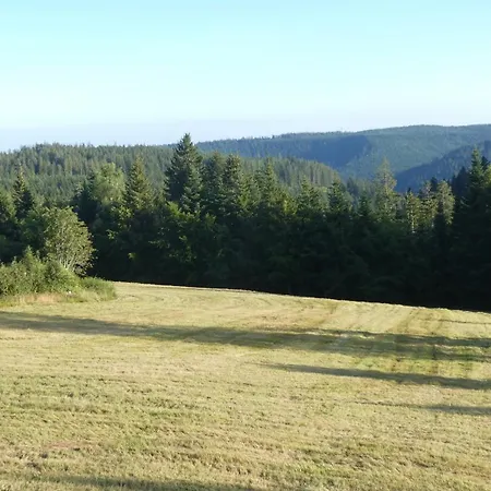 Appartement Naturapartment Schwarzwaldseele Kniebis *
